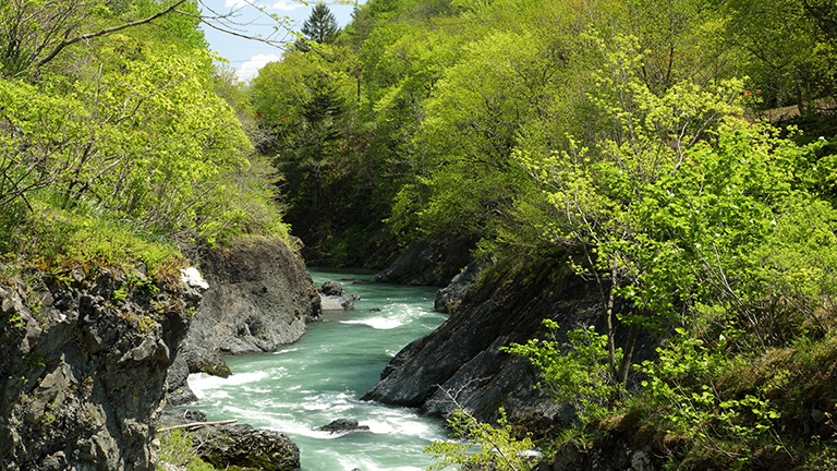 北海道の河川とダムの紹介 渚滑川しょこつがわ かわたびほっかいどう