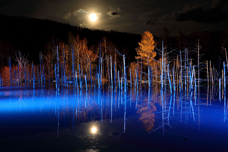 北海道の川を撮る 美瑛町 青い池ライトアップ かわたびほっかいどう