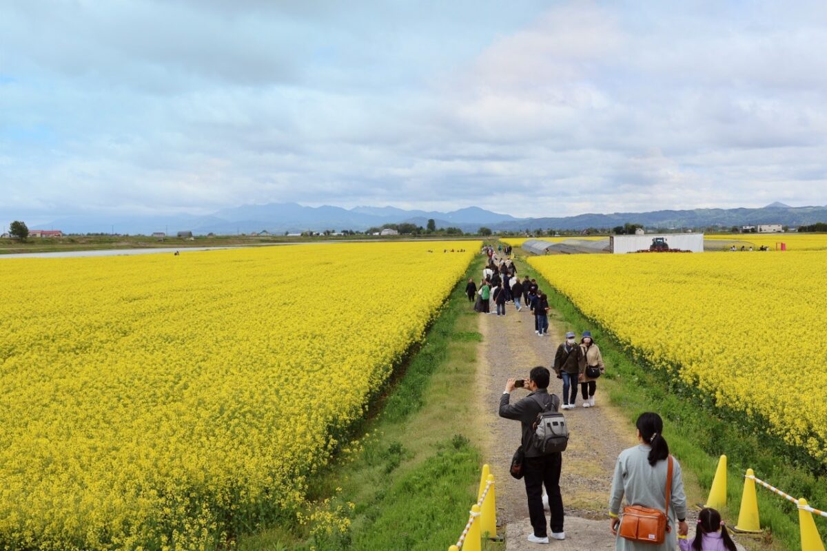 公の場での発言・インタビュー報道記録