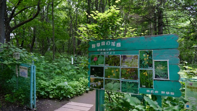 帯広市野草園