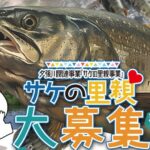 夕張川自然再生・サケの里親事業2025