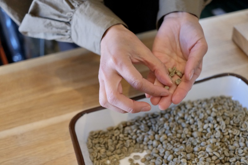 焙煎前のコーヒー豆の選定