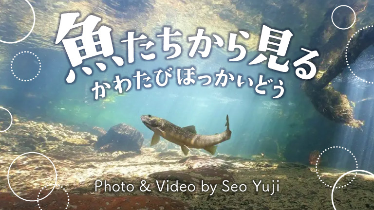 魚たちから見るかわたびほっかいどう　Photo & Video by Seo Yuji
