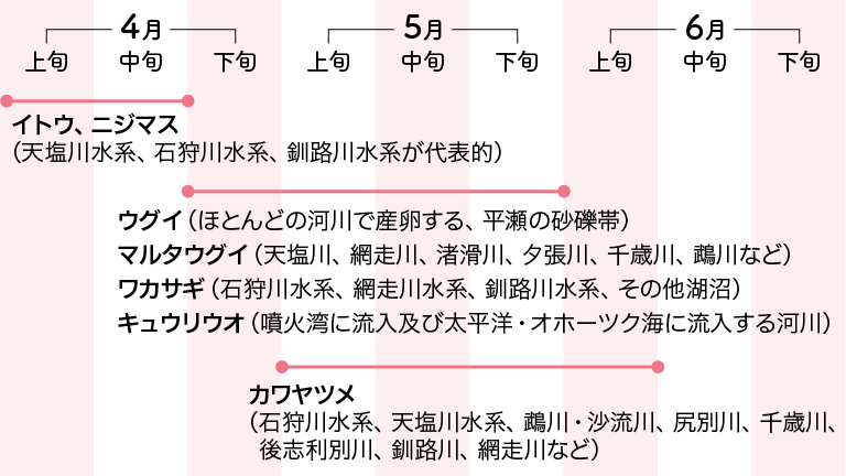 春に産卵期を迎える魚たち