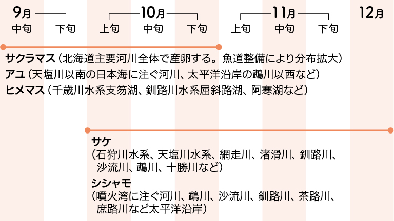 秋に産卵期を迎える魚たち