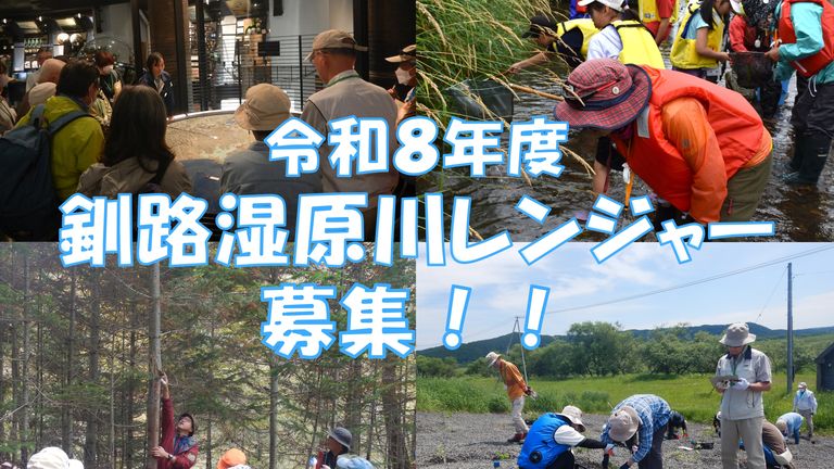 2026釧路湿原川レンジャー募集