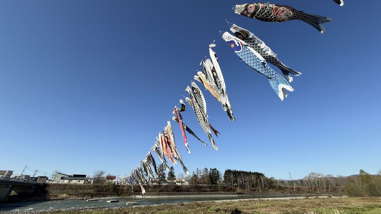 第36回大樹町歴舟川のこいのぼり（2026年）