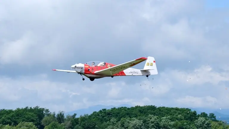 サマースカイフェスタ
